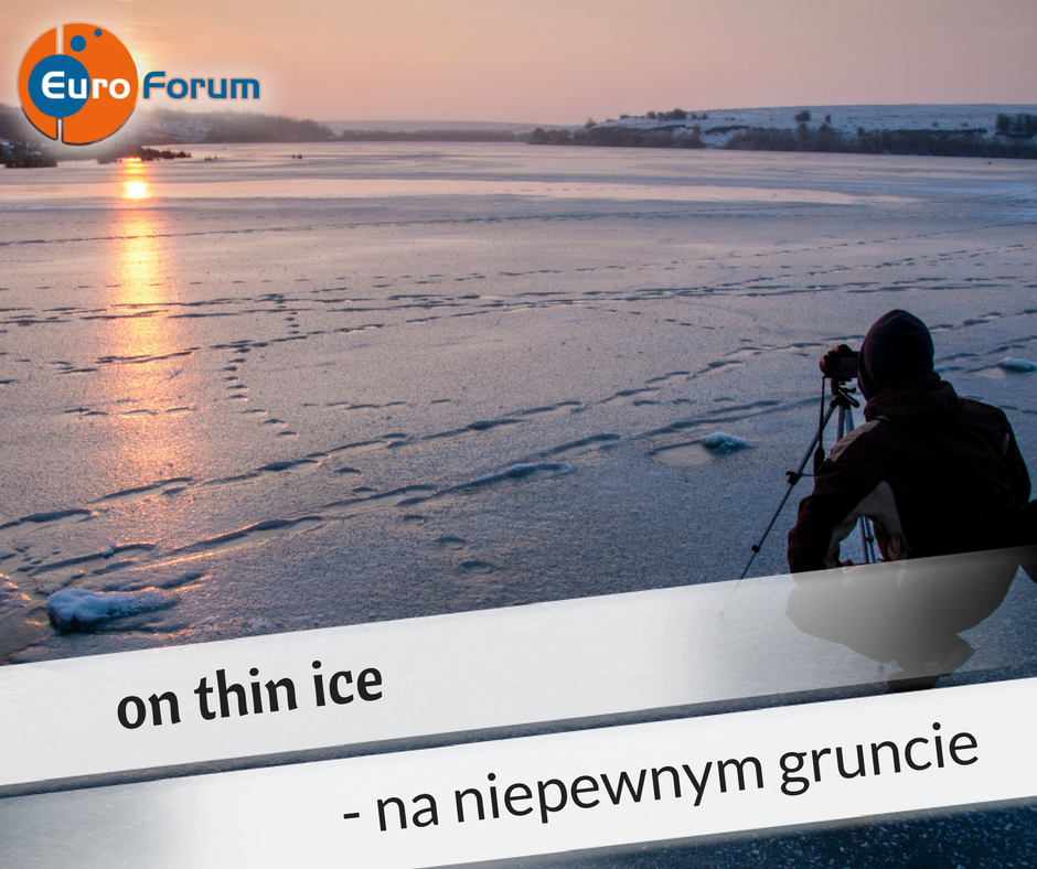 On thin ice - Euro-Forum Idiom